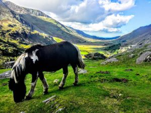 North Wales tour from Manchester